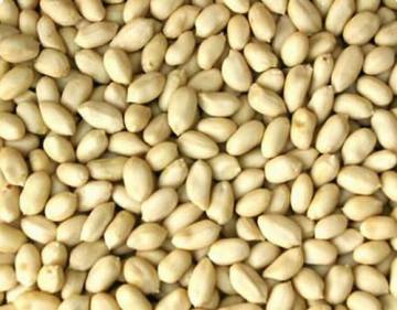 BLANCHED PEANUTS