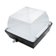 Led canopy light