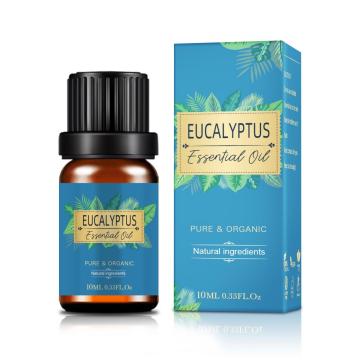 O óleo essencial de eucalipto natural 100% puro para cuidados com a pele de eucalipto orgânico Óleo