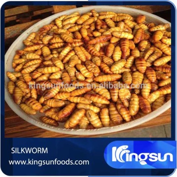 Good Taste Silkworm On Sale