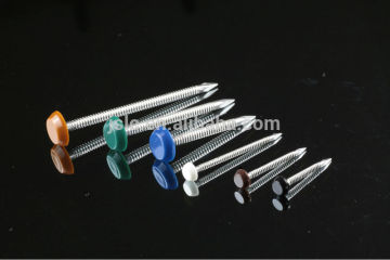 Plastic Headed Stainless Steel Ring Shank Pin