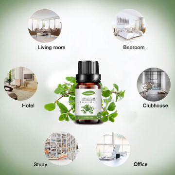 Wholesale organic marjoram essential oil for skin care