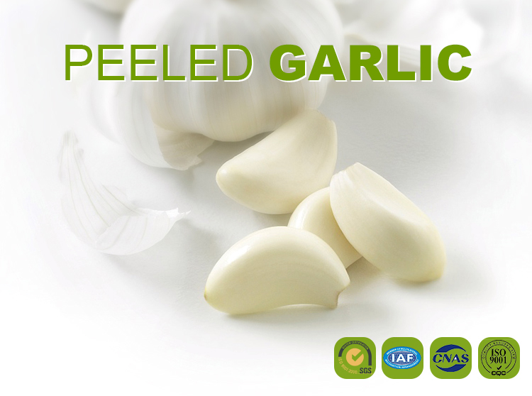 China Fresh white garlic peeled