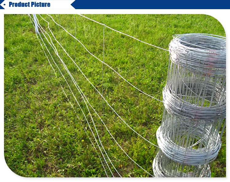 wire mesh sheep and goat farming cheap farm fence