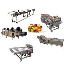 Lettuce Washer and Dryer Production Line