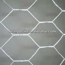 PVC Coate Hexagonal Wire Netting( high quality )