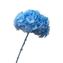 Dried Hydrangea Bouquet for Event Decor: Pink, Blue, Purple, White, and Dusty Rose