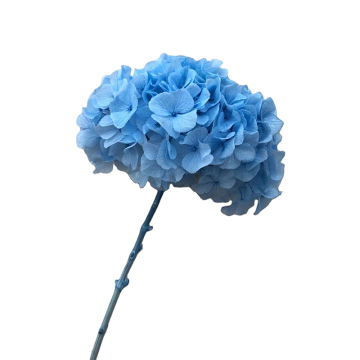 Dried Hydrangea Bouquet for Event Decor: Pink, Blue, Purple, White, and Dusty Rose