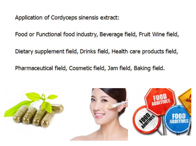 Application Of Cordyceps Sinensis Extract Application Of Cordyceps Sinensis Extract