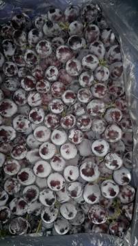 Professinal Exporter for Fresh red grape