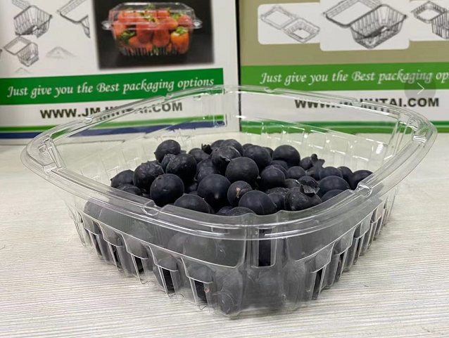 Tub blueberry plastik penjualan populer