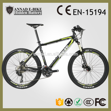 1000W bike electric