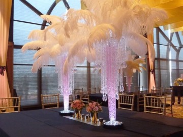 wholesale White-Ostrich-Feather-Plume Special lighting effects with the illuminator base