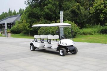 Hotel reception electric vehicle