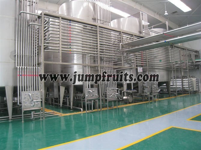 tomato jam processing plant