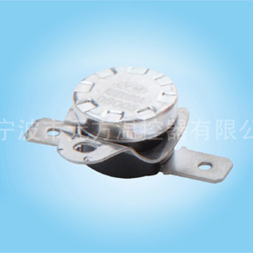 Snap-action Temperature Controls?