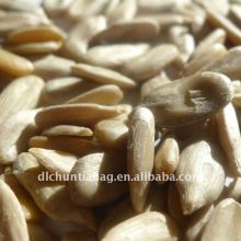 sunflower kernels
