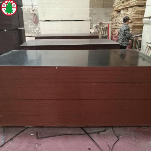 Black film laminated plywood for construction plywood