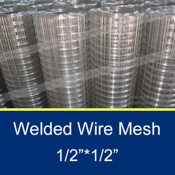 1x1 inch galvanised welded wire mesh