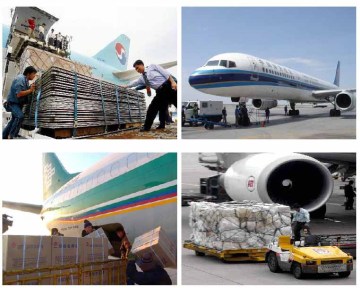 Best international forwarder china indonesia Skype:Leochan64