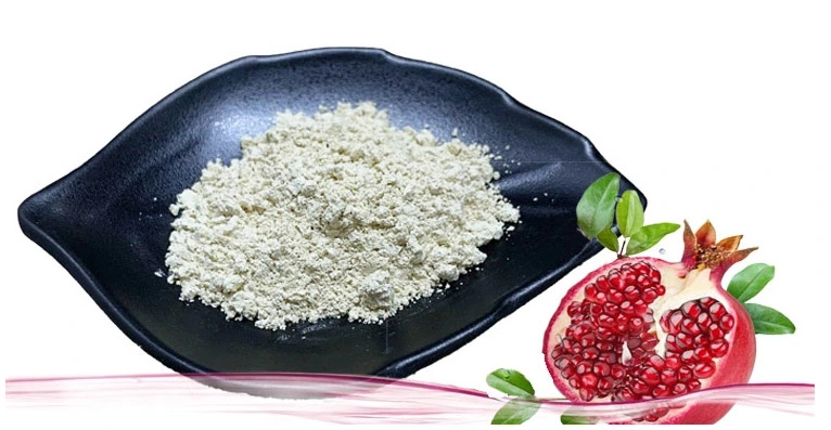 Pomegranate Juice Extract 98% Ellagic Acid Powder