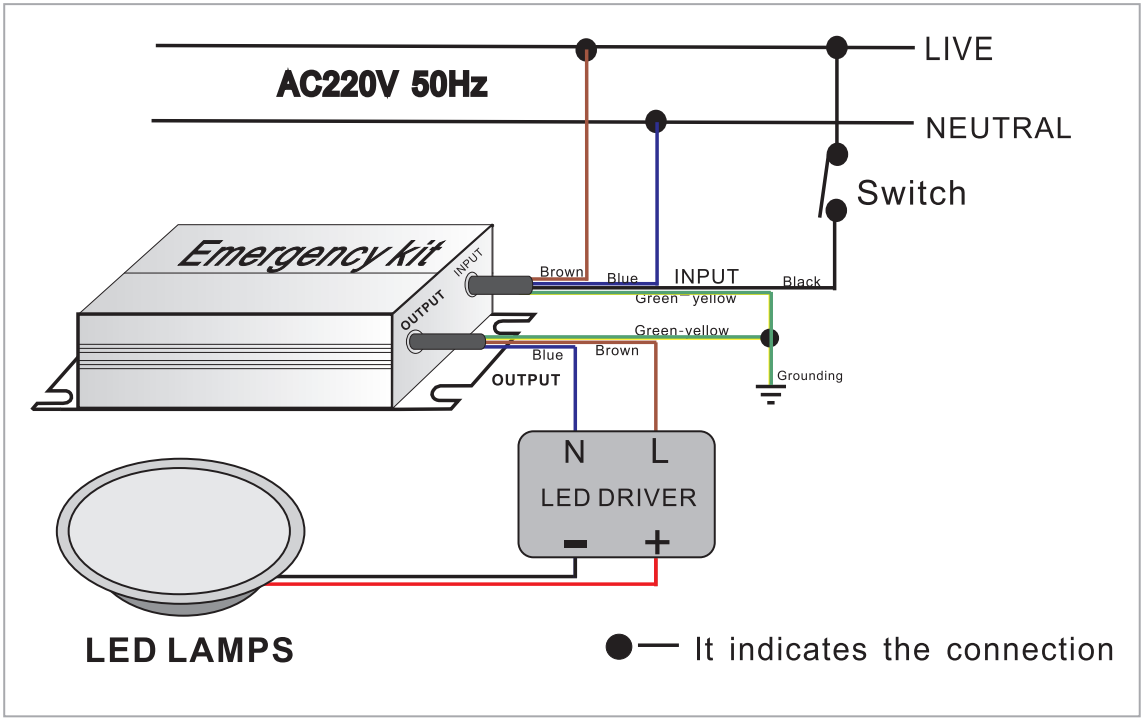 Wiring diagram for LED light with external driver