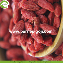 Perdre du poids Nutrition naturelle séchée Tibet Goji