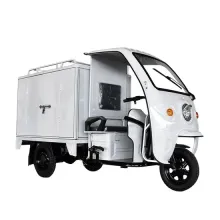 Jinpeng Electric Cargo Tricycle for Express Industry