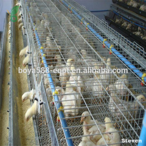 China factory supply hot sale poultry house/chicken poultry layer cage/baby chicken cages for sale/4 layers