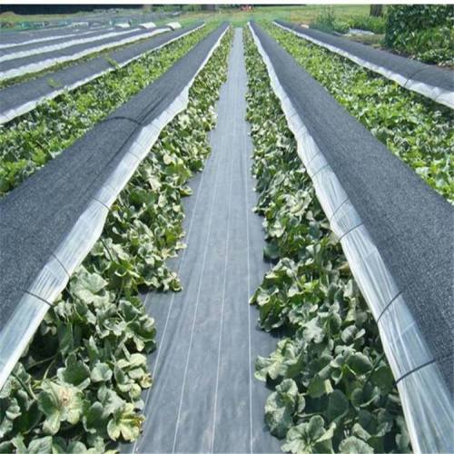 PP greenhouse film, insulation film black roll