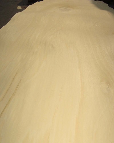 0.20mm obeche veneer for plywood