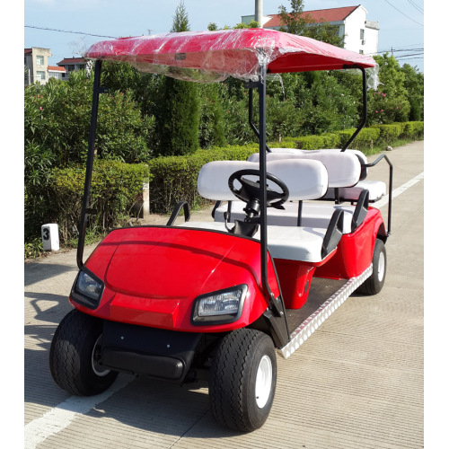 golf sightseeing bus for sale