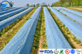 HDPE Pond Liners Άκαμπτα διαφανή φιλμ HDPE