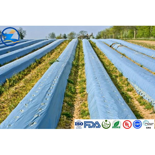 HDPE Pond Liners Rigid Transparent HDPE Films