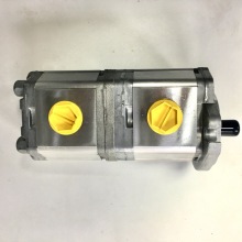 211.20.243.00+111.20.425.00 flow drive gear pump