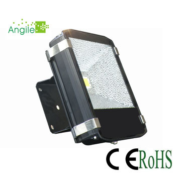 LED Landscape Light