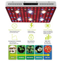 El LED COB de 3000 W aumenta el espectro completo para el invernadero