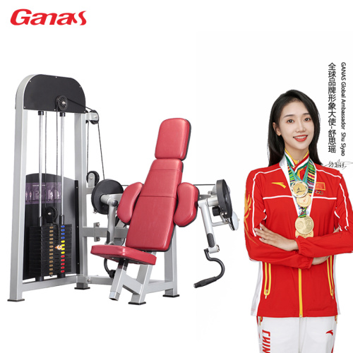 Gym Commercial Equipment Seated Biceps Curl