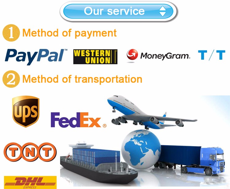 Payment term and shipment way