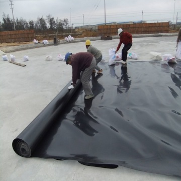 1mm ecb hdpe waterproofing membrane
