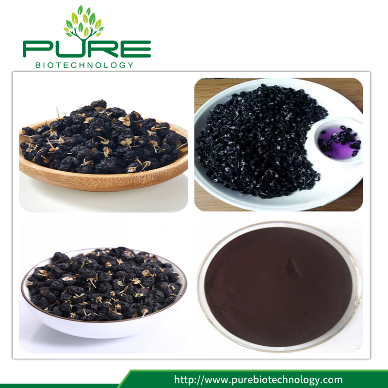 الطبيعية المجففة السوداء غوجي التوت استخراج مسحوق Natural Dried Black Goji Berry Extract Powder