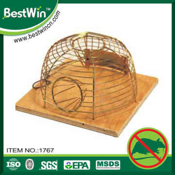 over 10 years experience ultrasensitive trap the rat