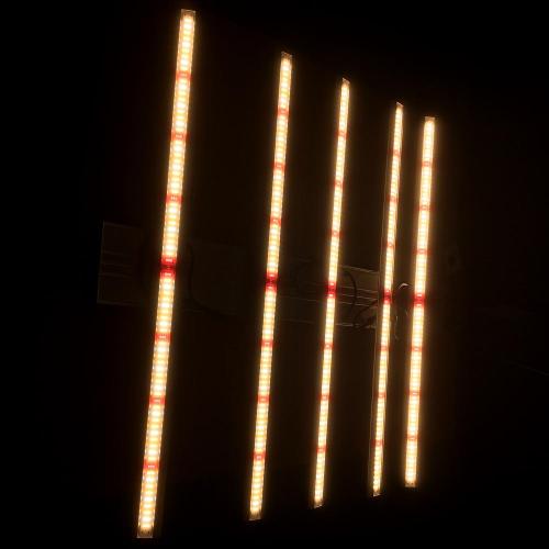 Phlizon Spektrum Penuh LED Grow Lighting Tinggi PPFD