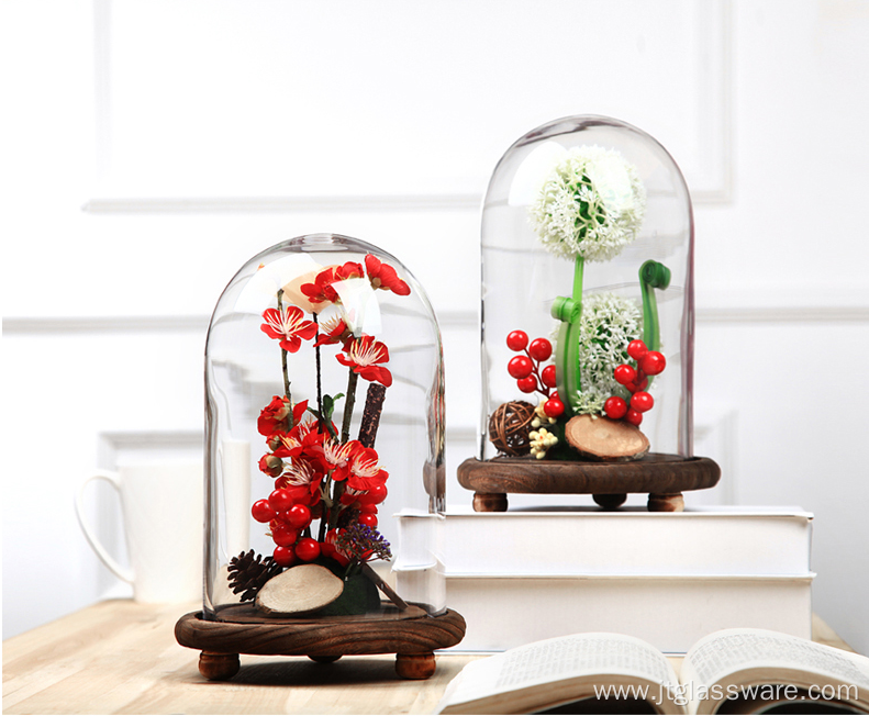 Customize High Quality Glass Display Dome