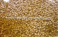 salted mushroom in conserve