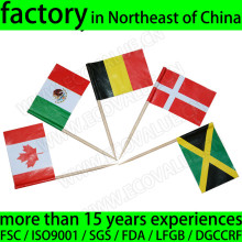 Custom Printing Toothpick Flag Sticks