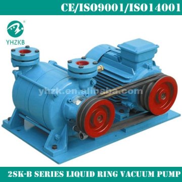 chinese vacuum pump