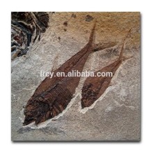 New technology product large format ceramic digital printing machine , digital flatbed uv printer