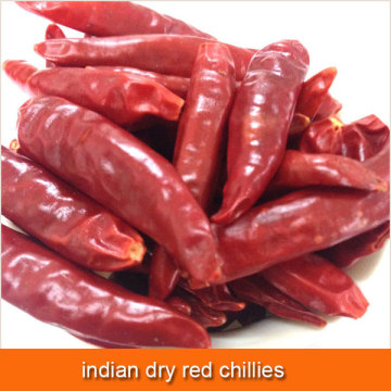 indian dry red chillies