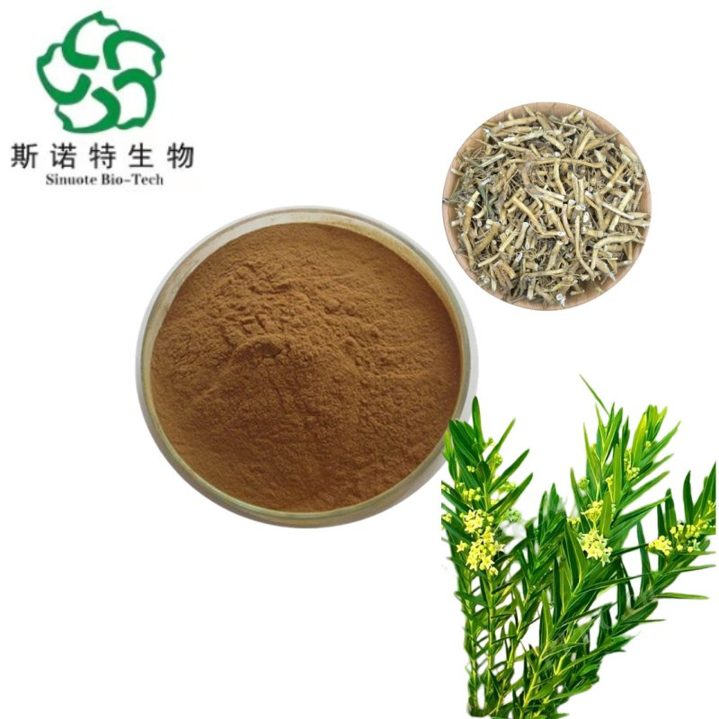 Pure-Cynanchum-Glaucescens-Extract-for-Energy-and-Overall-Well-Being Pure-Cynanchum-Glaucescens-Extract-for-Energy-and-Overall-Well-Being